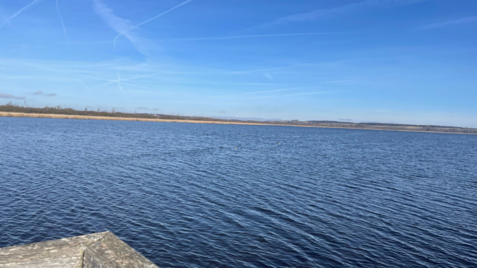 NABU-Naturschutzzentrum Federsee - See