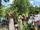 Plant-for-the-Planet - planting